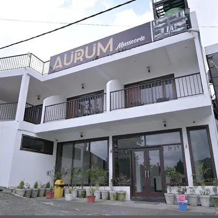 Aurum Resorts Mussoorie-3