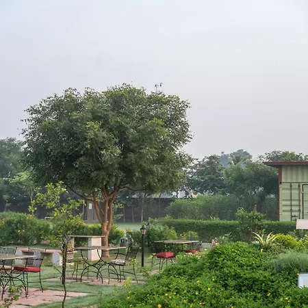 Tree Of Life Ecotainers Agra-2