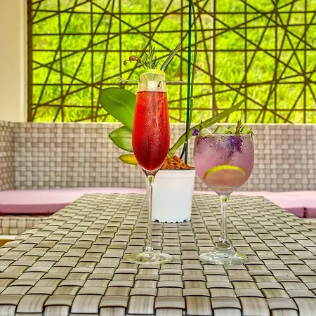 Planet Hollywood Costa Rica By Royalton, An Autograph Collection All-Inclusive Resort-3