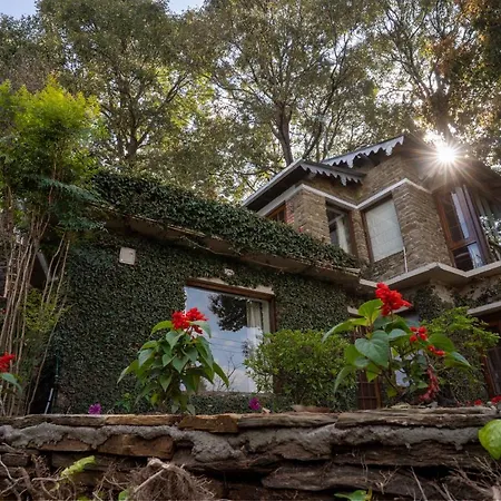 Avenida Snowcap Retreat-3