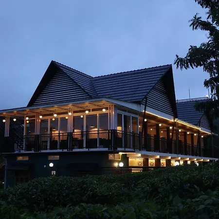 Jungle View Resort-2