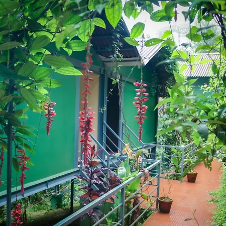 Edens Munnar-3
