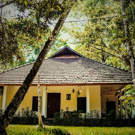 Marari Beach Palace-3