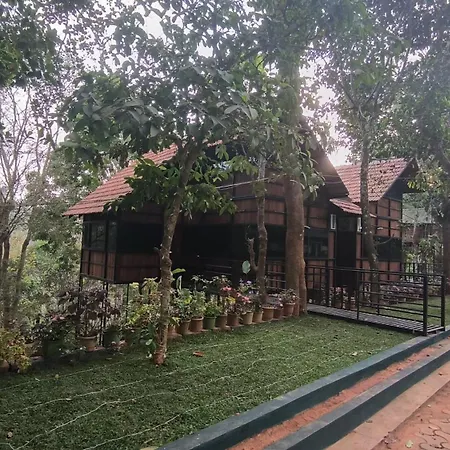 Tree House Wayanad-2