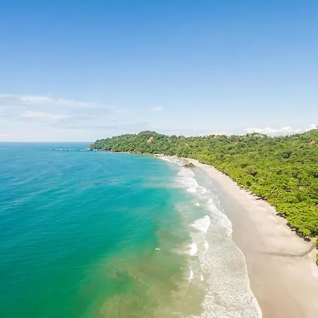Arenas Del Mar Beachfront & Rainforest Resort Member Of The Cayuga Collection-3