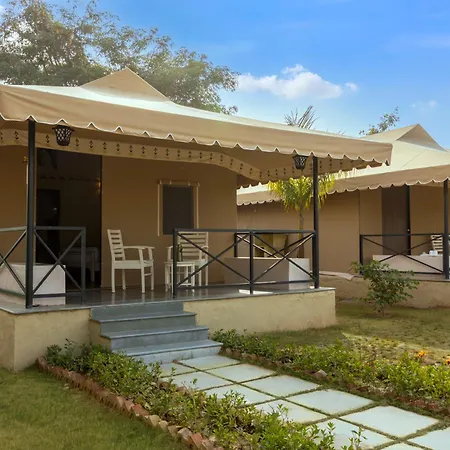 Sterling Rewild Sariska-2