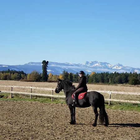 Paradise Acres Ranch-2
