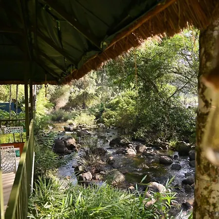 Blue Creek-2