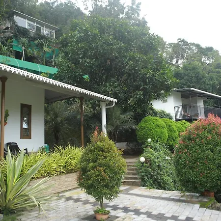 Theeram Agro Farm Hill Resort Pool Villa Vagamon-3