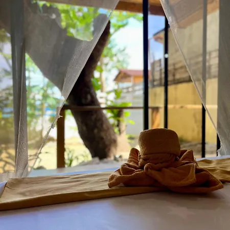 Amami Beachfront Villa With Private Beach-2