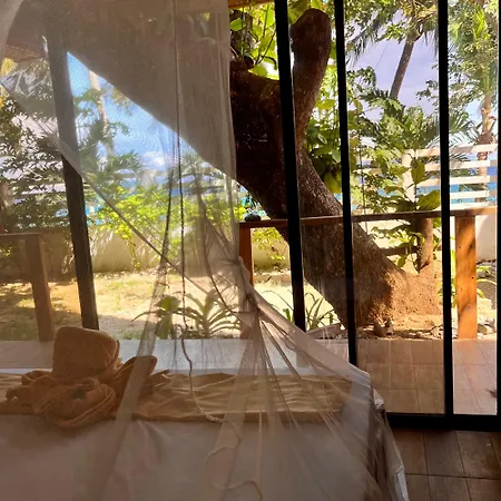 Amami Beachfront Villa With Private Beach-3