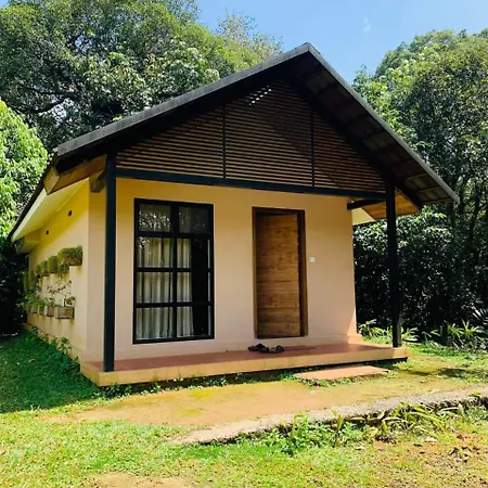 Vagamon Heights-3