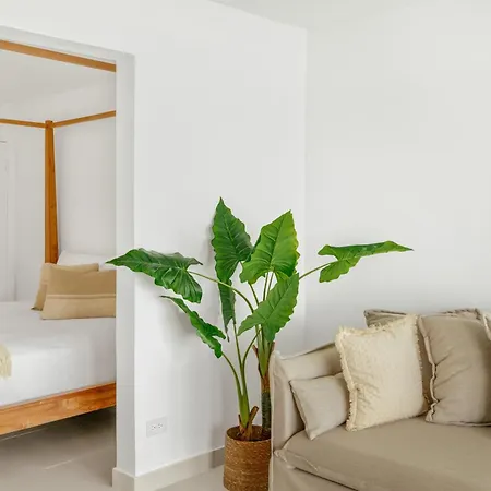 Cocovaa Beach Boutique Hotel-2