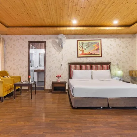 Maple Resort Chail-3