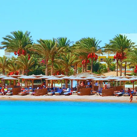 Palm Beach Resort Families And Couples Only-2