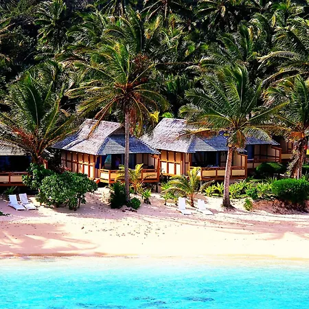 Palm Grove-2