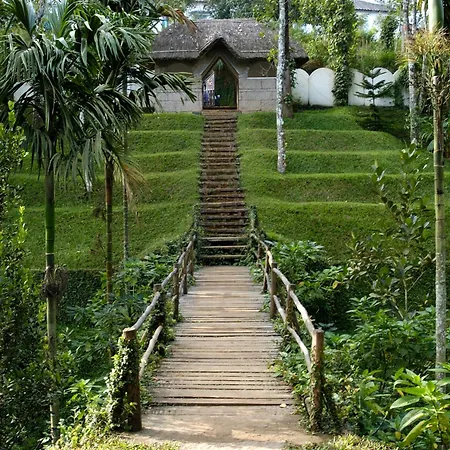 Amritara Shalimar Spice Garden Resort & Spa-2