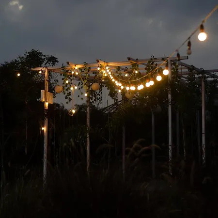 Rustic Vogue-3