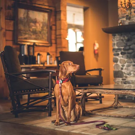 Emerald Lake Lodge-2