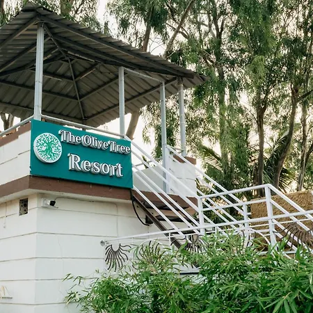 Olive Tree Resort, Lonavala-3