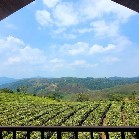 Cloud Canopy - Tea Garden Family Pool Cottage In Vagamon-2