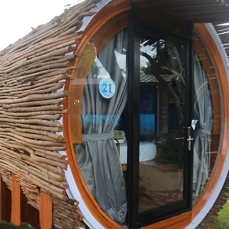 Cocoons Casobe-3