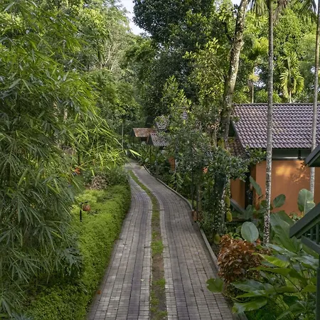 Crystal Kuruva Nature Resort & Spa-2