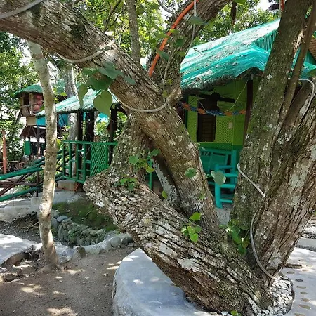 Nature Green Forest Resort-2