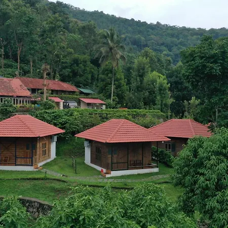 Avadale Wayanad - Stag Groups Not Allowed-2