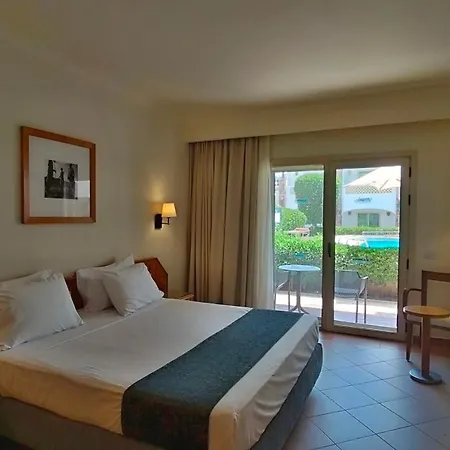Camel Dive Club & Boutique Hotel-2