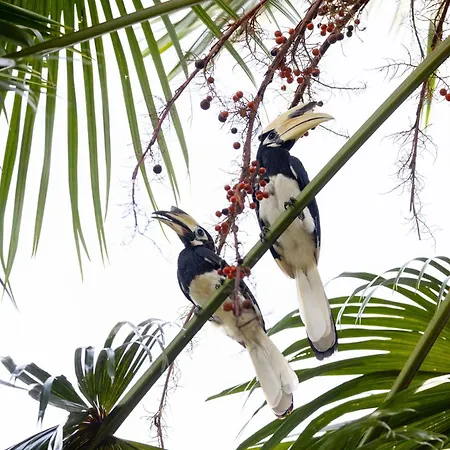 Mangala Estate Boutique Resort-3