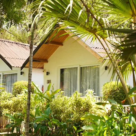 White Wood Resort By Stone Wood Hotels-3