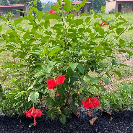Wildlife Retreat-2