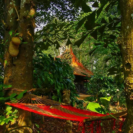 Greens Tree House & Wood House-2