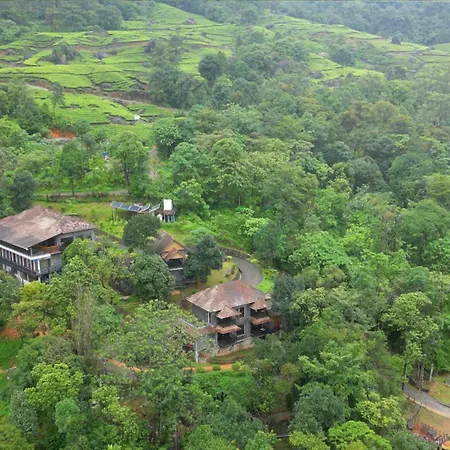 The Wild Trails Clarks Exotica , Munnar-2