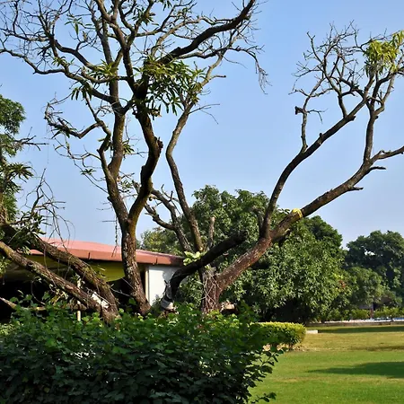 The Greenwich Resort-2