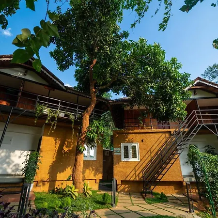 Mystery Maze Resort & Spa-2
