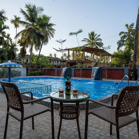 Vits Select Casuarina Diveagar-2