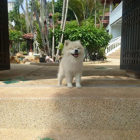 Samui Little Garden Resort-3