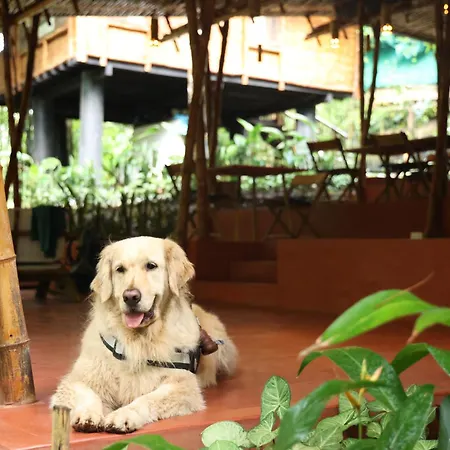 Uravu Bamboo Grove Resort-2