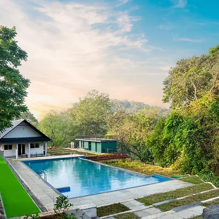 Jungle View Resort-3
