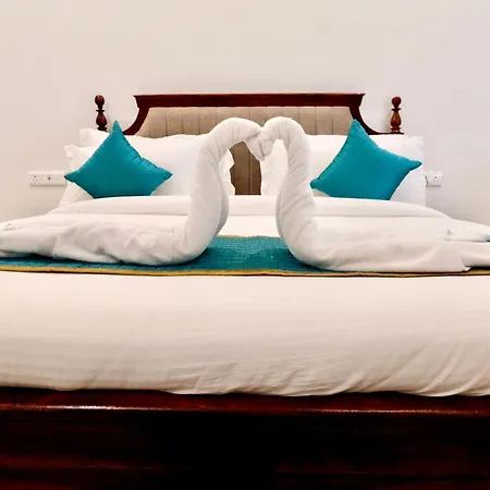 Radha Kunj Resort Pushkar-2