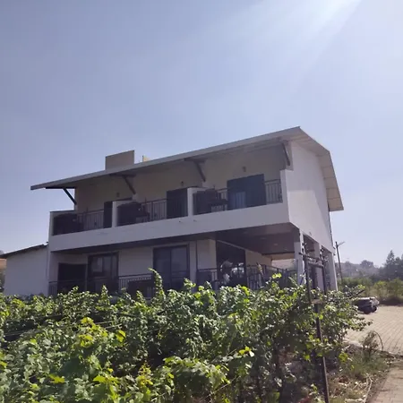 Soma Vineyard Resort -Nashik-3