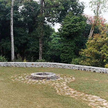 Jungle Park Resort-Rain Forest Experience By Greenescapes-3