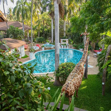 African House Resort-2