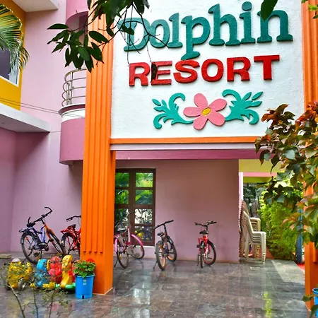 Dolphin Resort-2
