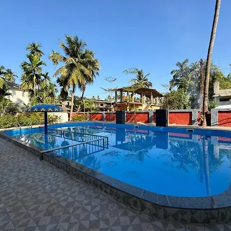 Vits Select Casuarina Diveagar-3