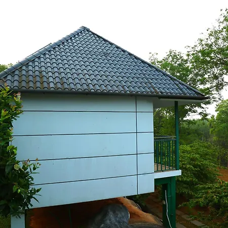 Wayanad Cave N Pillar Resort-3