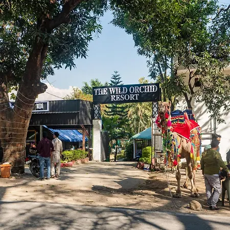 The Wild Orchid Resort Corbett-2