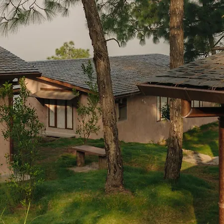 Amaya Kasauli-3